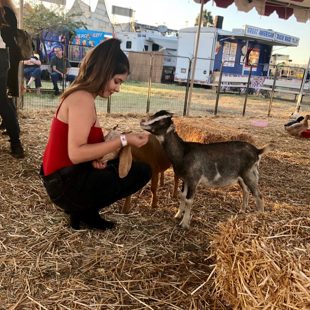 Meet your Posher, Esme